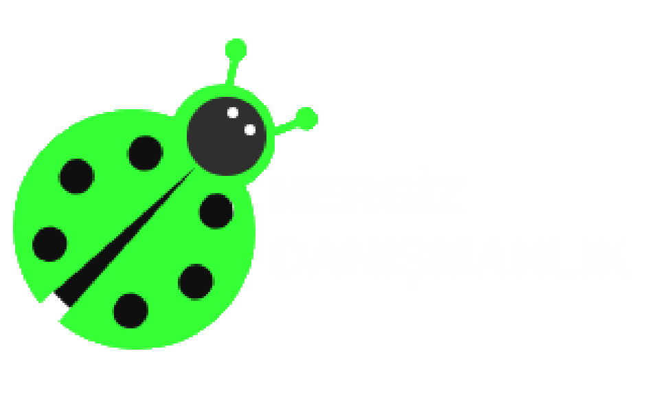 Nergiz Danışmanlık | Bursa'nın Güvenilir Danışmanlık Hizmeti